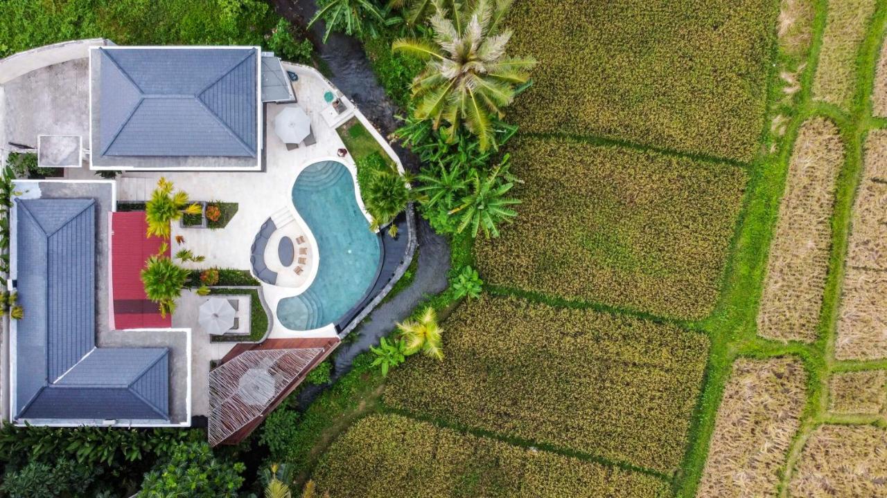 Coconut Grove Villa By Betterplace Ubud (Bali) Bagian luar foto
